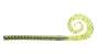 Geecrack Decker 8 # 040 Watermelon / Clear Pumpkin Seed