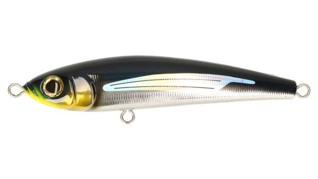 Tailwalk Gunz 160 S Navy Tobiuo - G