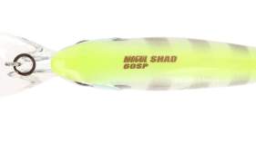 Bassday Mogul Shad 60SP