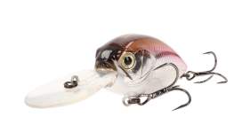 Bassday Mogul Crank Target 3