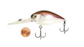 Bassday Mogul Crank Target 3