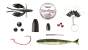 Starterpaket Texas- und Carolina-Rig