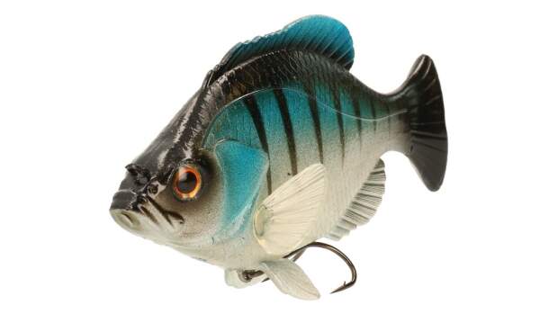 Fish Arrow Fins Gill 150