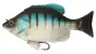 Fish Arrow Fins Gill 150 # 04 Blue Gill