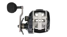 Tailwalk ELAN Super Wide Power 71BL