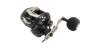 Tailwalk ELAN Super Wide Power 71BL