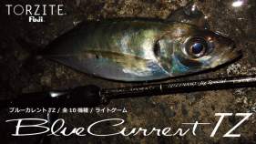 Yamaga Blanks Blue Current 73 TZ NANO All Range Professor