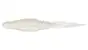 Bait Breath U30 Flat Pin Tail 4.5 # 814 Glow Pearl