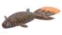 Geecrack Baobab Hog Ex 3.8