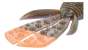 Geecrack Baobab Hog Ex 3.8