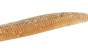Bait Breath U30 Fish Tail Shad 2.8