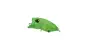 ValkeIn Riola C063 Full Green