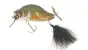 Adusta ZaCrawl SC # 011 Murray Cod