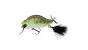 Adusta ZaCrawl SC # 103 Green Grass Frog