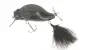 Adusta ZaCrawl SC # 107 Black Tiger