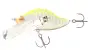 Adusta ZaCrawl Jr. #024 Yellow Chart Tiger