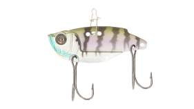 Adusta Tivvy 10 g
