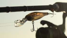 ZipBaits Trick Shad 70SP Rattler