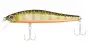 ZipBaits Rigge 70F # 126 Oshoro Pearl