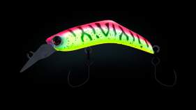 Bassday Mogul Helium 45F Area P-431 Pink Back Tiger / Lime
