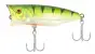 Bassday Mogul Popper 65 H-33 Perch