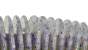 Geecrack Bellows Stick 8