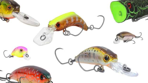 Starterpaket Bassday