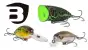 Starterpaket Bassday Barsch