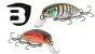 Starterpaket Bassday Zander