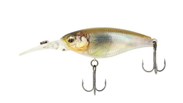 Imakatsu Shad IS-100 #718 3D Real Wakasagi