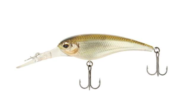 Imakatsu IS Wasp 55 #718 Real Wakasagi / 3DR