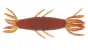 Imakatsu Fula Shrimp 3 #469 Dark Lever