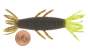 Imakatsu Fula Shrimp 3 #500 Head Chart / Green Pumpkin