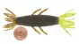 Imakatsu Fula Shrimp 3 #500 Head Chart / Green Pumpkin