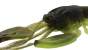 Adusta Gadget Craw 3.8