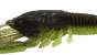 Adusta Gadget Craw 3.8