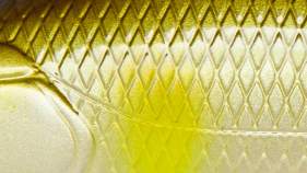 ZipBaits Khamsin 70 SP-SR # 010 Ayu