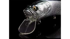 Adusta Barbatos Lip