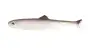 Imakatsu Huddle Fat Fly Eco 2.8 # 187 Clear / Lake Magic