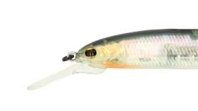 Imakatsu Dardo 100SP