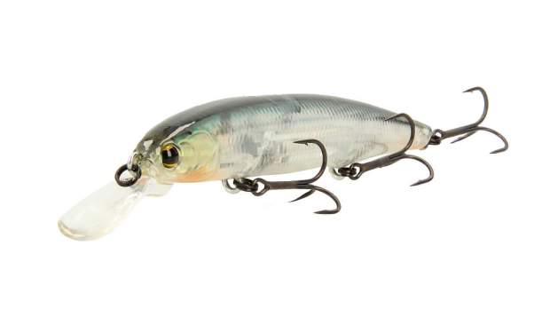 Imakatsu Dardo 100F