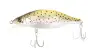 BabyFace SD110-F # 006 Brown Trout