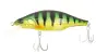 BabyFace SD110-F # 010 Perch