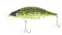 BabyFace SD110-F # 015 Pike