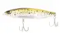 BabyFace PL135 # 006 Brown Trout