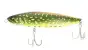 BabyFace PL135 # 015 Pike