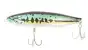 BabyFace PL135 # 019 Black Bass