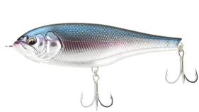 BabyFace JB150-S # 003 Blue Back / Silver