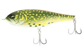 BabyFace JB150-S # 015 Pike