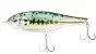 BabyFace JB150-S # 019 Black Bass